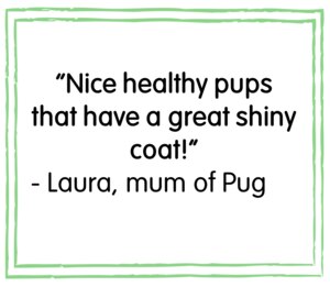 BETA Puppy Turkey & Lamb 14kg